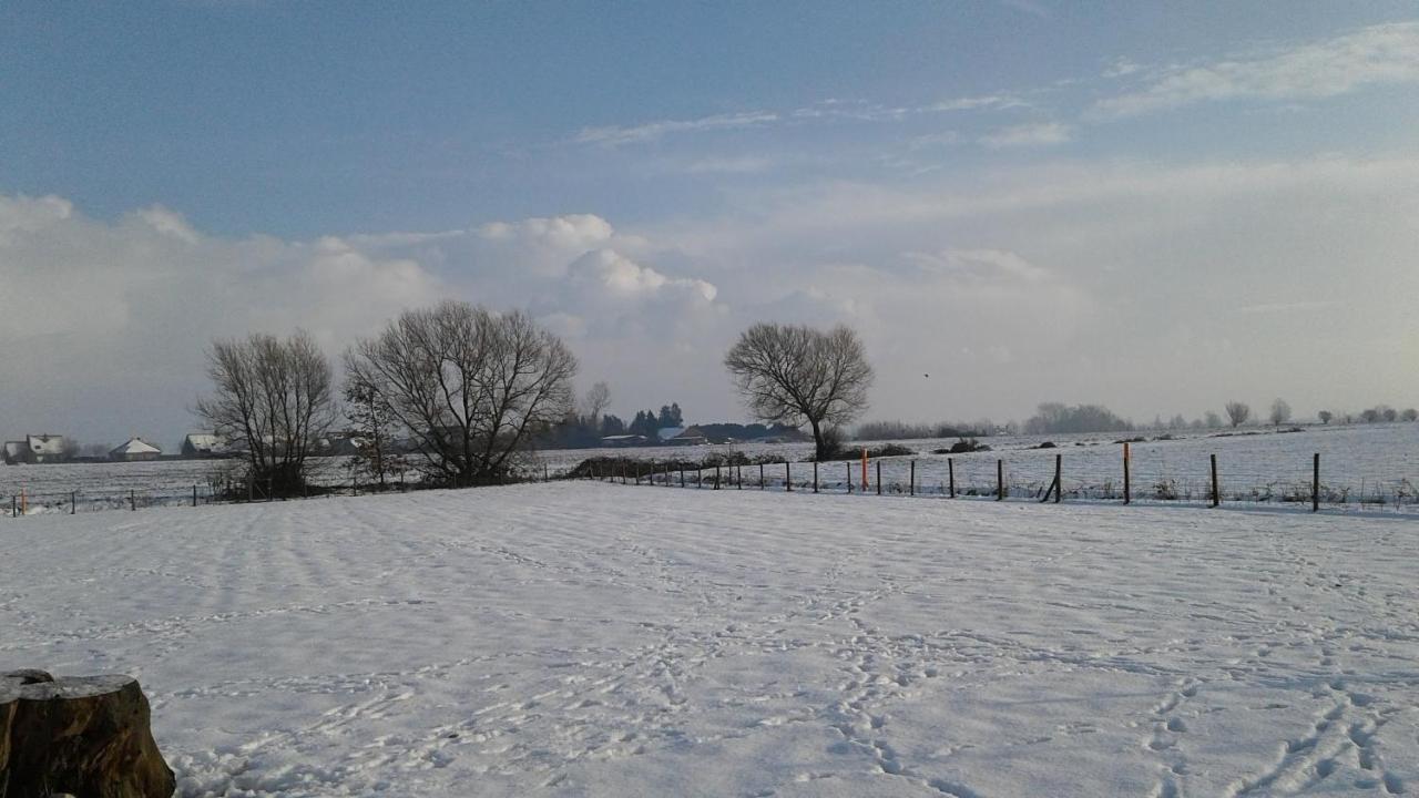 Lievegem B & B Victors Hof, Met Zwemvijver In Landelijke Setting מראה חיצוני תמונה