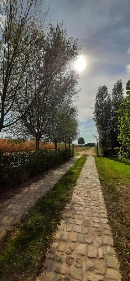 Lievegem B & B Victors Hof, Met Zwemvijver In Landelijke Setting מראה חיצוני תמונה