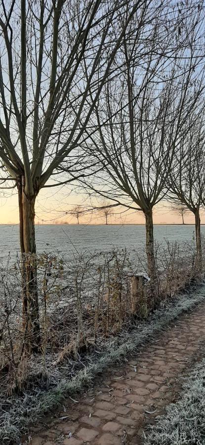 Lievegem B & B Victors Hof, Met Zwemvijver In Landelijke Setting מראה חיצוני תמונה