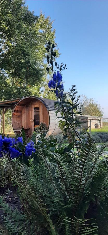 Lievegem B & B Victors Hof, Met Zwemvijver In Landelijke Setting מראה חיצוני תמונה