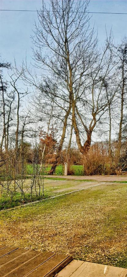 Lievegem B & B Victors Hof, Met Zwemvijver In Landelijke Setting מראה חיצוני תמונה